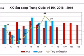 Xuất khẩu tôm sang Trung Quốc hồi phục