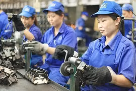 Hơn 50% lao động muốn nghỉ hưu sớm vì kiệt sức
