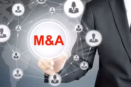 Sức bật của nhà đầu tư nội trên thị trường bất động sản