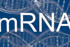 Văcxin HIV mRNA thử nghiệm có triển vọng