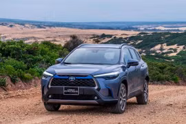 Xe công nghệ hybrid﻿ là bước chuyển tiếp cần thiết trong quá trình điện hoá ô tô.