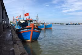  Bà Rịa - Vũng Tàu: Quyết tâm gỡ “thẻ vàng” cho thủy sản xuất khẩu