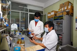 Việt Nam tiến hành thử nghiệm lâm sàng thuốc trị Covid-19