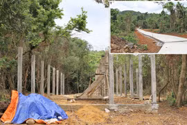 Ban Quản lý Vườn quốc gia Phong Nha - Kẻ Bàng 'cầm đèn chạy trước ô tô'?