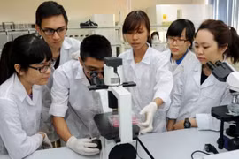 Bộ Y tế đề nghị ngừng đào tạo định hướng chuyên khoa cho bác sĩ