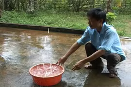 Hệ thống xử lý nước mưa khép kín