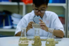 Ngân hàng giống cây trồng