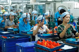 Nhiều gói kích thích nhưng doanh nghiệp nhỏ và vừa còn khó tiếp cận nguồn vốn.