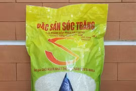 Nhận biết gạo ST25 chuẩn