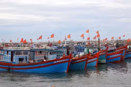 Tàu neo đậu ở cảng chưa chắc đã an toàn