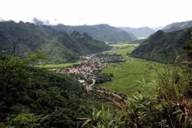 Nhận biết “địa linh” thế nào cho đúng?
