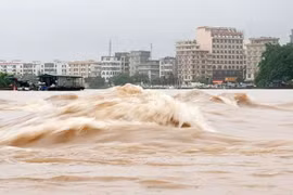 Hiện tượng nước dâng trong bão