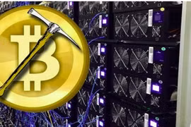Đào Bitcoin