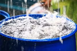 Dùng nước mưa đúng chuẩn