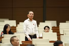 Tăng số lượng đại biểu chuyên trách để QH hoạt động chuyên nghiệp, hiệu quả hơn