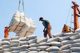 238 thương nhân xuất khẩu gạo nhận Giấy chứng nhận