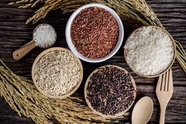 Giá gạo xuất khẩu lên cao nhất trong 2 năm