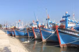 Ảnh minh họa
