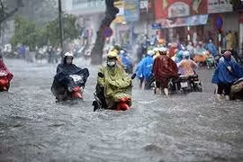 Mùa bão năm nay sẽ cực đoan hơn