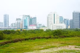 Phạt 1 tỷ đồng nếu phân lô, bán nền đất khi chưa đủ điều kiện