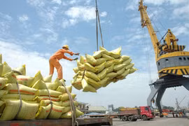 Nhiều nước tạm dừng xuất khẩu lương thực