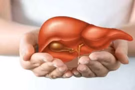Chỉ số đánh giá men gan