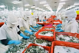 VASEP: Dự báo tôm sang EU đạt 800 triệu USD trong năm 2020