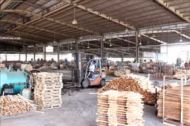 Xuất khẩu gỗ liệu tiếp tục lao dốc