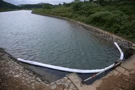 Chất lượng nước sông Đà được cải thiện