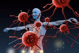 Cây thuốc Nam giúp tăng miễn dịch và làm sạch virus gây viêm gan khỏi cơ thể