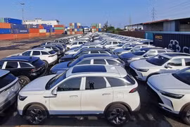 Tháng 4, lượng ô tô nhập khẩu cao nhất từ đầu năm, 13.000 xe