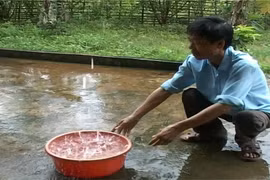 Hứng nước mưa đúng cách