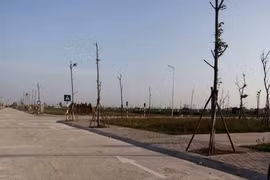Thanh Hóa “thúc” thu hồi tiền đấu giá quyền sử dụng đất