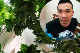 Gallery - Tập đoàn ma túy lớn nhất Việt Nam - image 10