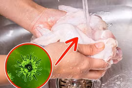 Tại sao không nên rửa thịt gà trước khi nấu?