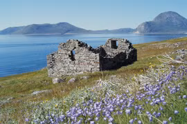 Bí ẩn về những người Viking cuối cùng sống giữa băng giá Greenland