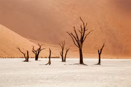 Deadvlei - Khu rừng chết trăm tuổi giữa biển cát đỏ của châu Phi 