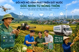 Đổi mới mô hình phát triển đất nước: Góc nhìn từ nông thôn