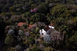 Sítio Roberto Burle Marx- khu vườn kiệt tác của nhân loại