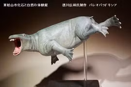 Paleoparadoxia: Loài thú móng guốc khổng lồ kỳ dị sống dưới đáy biển