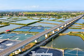 Đường ven biển gần 2.000 tỷ nối Thanh Hóa - Ninh Bình sắp khai thác