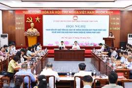 Tham vấn giải pháp khắc phục những bất cập trong hệ thống pháp luật