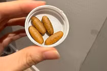 Uống thuốc nội tiết kéo dài mãn kinh liệu có tốt?