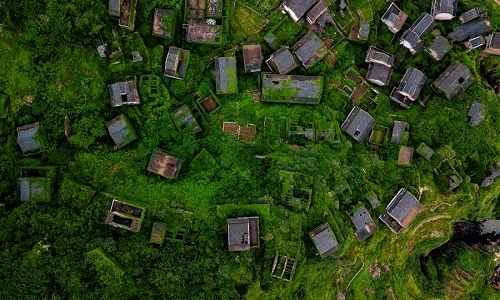 Nhà phủ kín cây xanh đẹp mê mẩn trong ngôi làng bỏ hoang