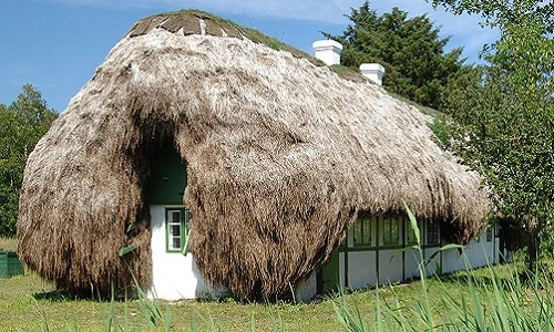 Độc đáo ngôi nhà lợp 32 tấn rong biển