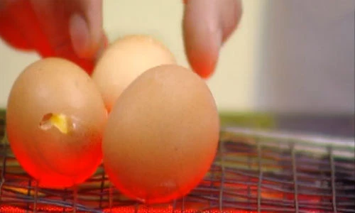 Cách làm trứng nướng ngon không độc hại tại nhà 