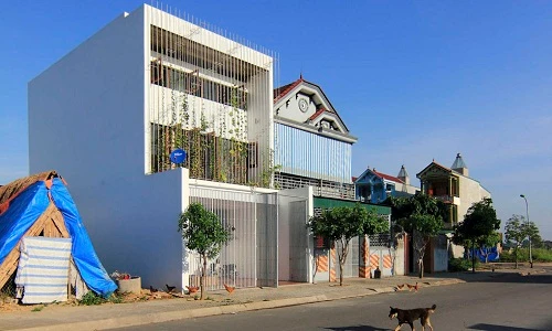 Nhà Việt có vườn đứng xuất hiện xanh mướt trên báo Tây
