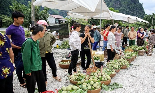 Lạng Sơn: Nhộn nhịp chợ na lớn nhất nước vào mùa