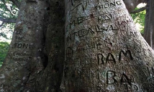 Ảnh: Ngán ngẩm nạn vẽ bậy ở Đà Nẵng