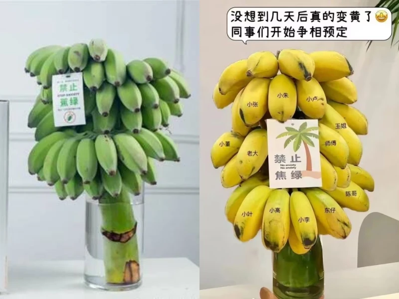 Cắm buồng chuối để "chữa lành", thú vui mới của giới trẻ